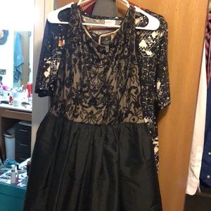 Beautiful Adrianna Papell cocktail dress